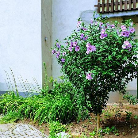 Room In City Center Halle With Shared Bathroom & Kitchen - Free Wifi, Netflix, Ipad & Ground Floor Экстерьер фото